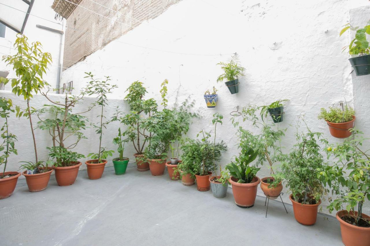 Apartamento Albaycin Granada Exterior photo